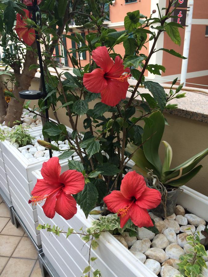 בורדיגרה B&B Borgo Marina מראה חיצוני תמונה