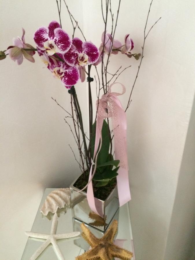 בורדיגרה B&B Borgo Marina מראה חיצוני תמונה